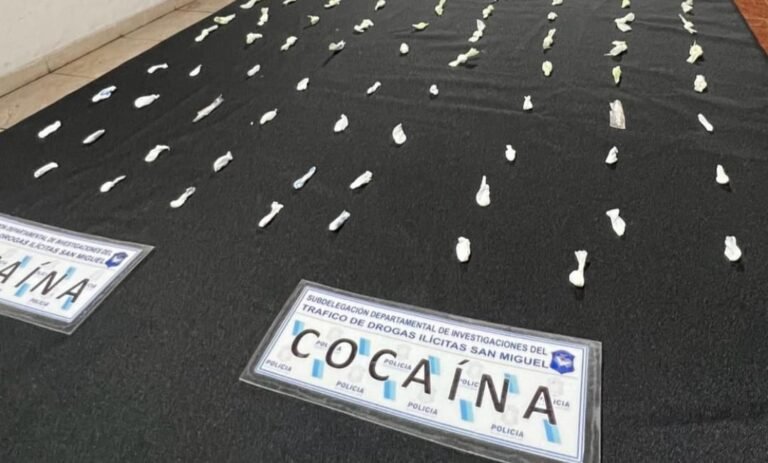 de0e586c-69c6-482d-b662-450755da96fc