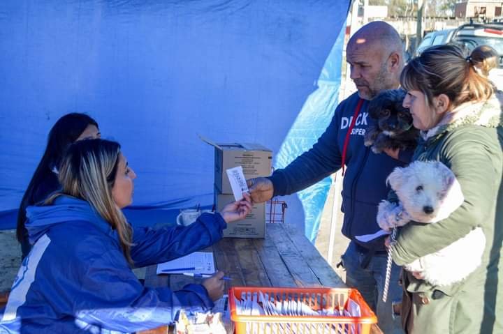 9a8f810c-7c4f-4283-ba10-3822e963f1c4