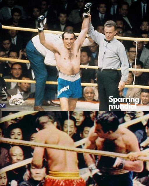 457552262_1240434127409205_4526275840064816243_n