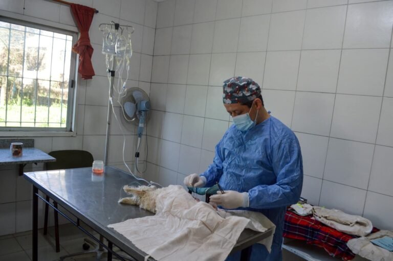 215abb86-0bc9-43fc-bd71-b39a51785b61