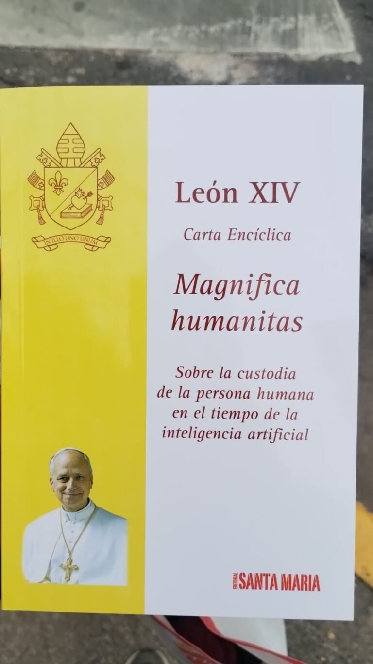 PAPA LEON EN ARGENTINA NOVIEMBRE  (2)